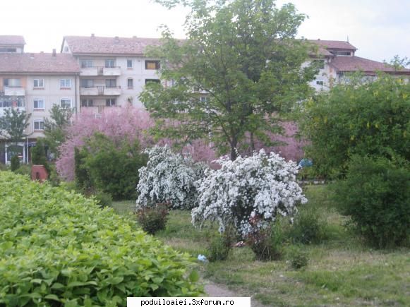 salutare tuturor ce ati facut voi pentru