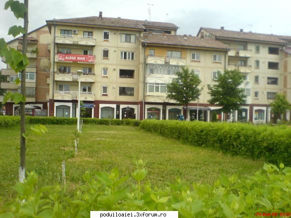 parcul inverzit , ceva cu adevarat frumos in