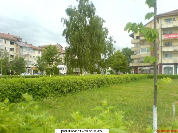 parcul inverzit in