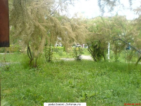 parcul in