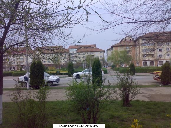 primavara in