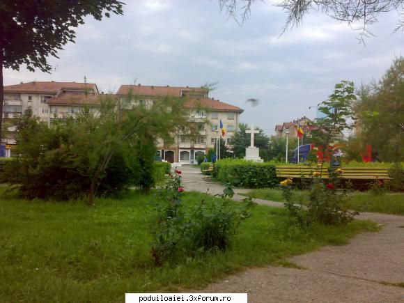 vara in